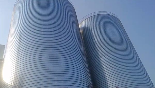 酒泉2座混凝土高架卷板仓